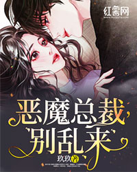 恶魔总裁,别乱来