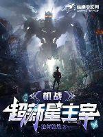 机战:超新星主宰