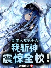 我斩神震惊全校完本