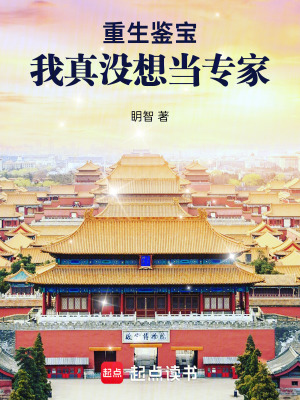 重生鉴宝:我真没想当专家