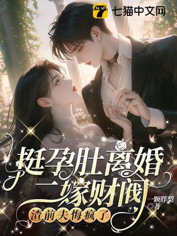 挺孕肚离婚二嫁财阀,渣前夫悔疯了