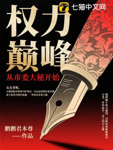 权力巅峰:从市委大秘开始